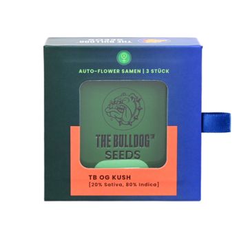 Autoflower Samen 3 Stück Strain: OG Kush