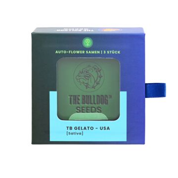 Autoflower Samen 3 Stück Strain: Gelato