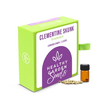 Clementine Skunk Feminisierte Samen 3 Stück