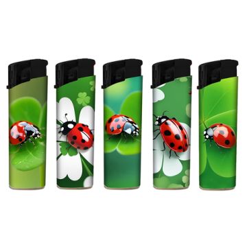 F11 Ladybug