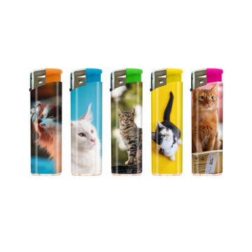F11 Cats II 