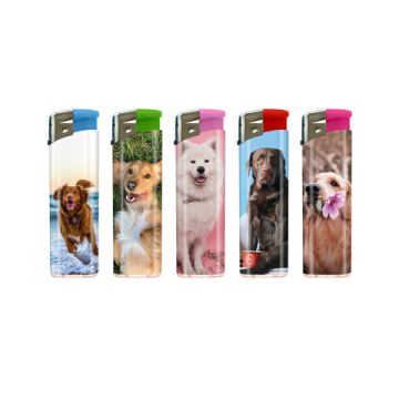 F11 Dogs II